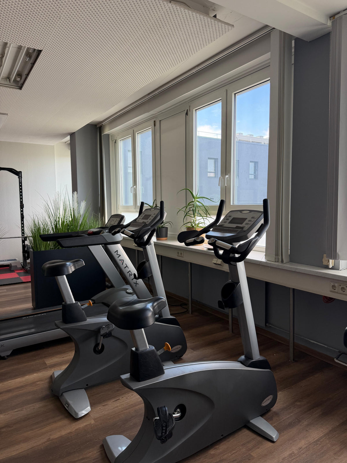 Cardiobereich mit Ergometern an der Fensterfront der RE:FORM Trainingsräume